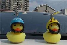 纪师傅说车：私家车装小黄鸭的注意了，交警说了，不但危险还涉嫌违法