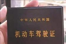 「迈数表」C2票到手，自动挡汽车就真的会开了么？几个实用知识点请收下