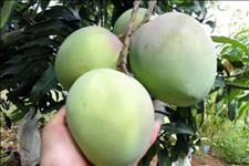 #生活洞见#人生不如意的时候，做人，要学会了沉默和变通