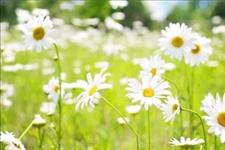 「文化智慧TB」最让人寒心的，往往是这一种人