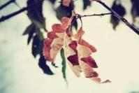 「小回爱分享」俗话说:一粒米养恩人，一担米养九人