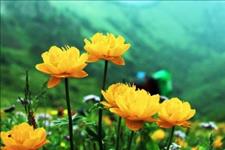 #感悟哲理美文#你的善良，藏着你的好运