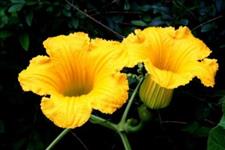 感悟哲理美文@淡淡的岁月，淡淡的心