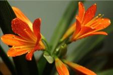 「感悟哲理美文」做人，别丢了良心，做事，别伤了人心