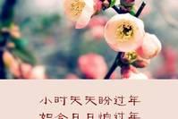 【凌晨的天空】一转眼又是一年，年年岁岁花相似