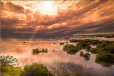 「Ava叶星语」情场中，欲念最少的四个星座