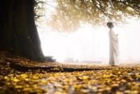 文心有道@情商高的人，从来不说这“三句话”！