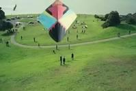 「花木柔」人生需要势均力敌的，不仅是爱情，还有友谊