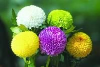 #人生励志美文#有心的人，在与不在，都会惦念！