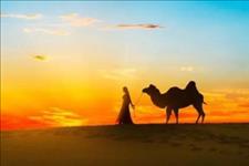 老蒋书房：因为在乎，才会乱想