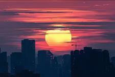 邀月问情：“姐，你离婚分的房，拆迁给的96万元，全给我”“好，我同意”