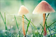 创业星雨@生活不是赢在起点，而是赢在转折点