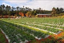 温柔不美@我考上一中却打工供姐姐念书，十年后姐姐问起缘由，我说出了真相