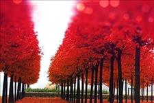 一禅君心理学独家解析@欲望太多反而会成为累赘！贪婪，是最真实的贫穷，人