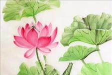 「老蒋书房」亲爱的，一生很短，真心难现；善良很贵，请别浪费