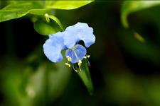 【小妖说星座】注定会和摩羯座有爱恨纠葛的这三大星座