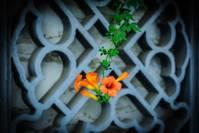 山宁贝贝@真正的知己，是一份懂得，一份相知