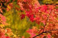 「励志司机锐锐」知心的人，一个就够