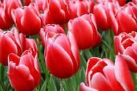 「道与欢同学」做人，说，是一种能力; 不说，是一种智慧。