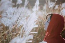 两性情感咨询导师：谈恋爱为什么这么难