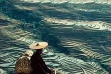 「品读文化TB」请活好，你的下半辈子