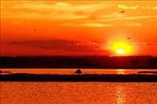 [老蒋书房]秋，沧桑了我的念想