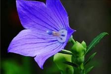 「sss猫小仙」没有结果的爱情，放过我们自己吧！