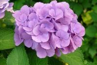 「情感锐翰」很不懂女人心的三大生肖，经常惹妻子生气，从来不懂浪漫