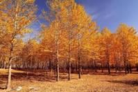 物界■这三种话，不要轻易说！