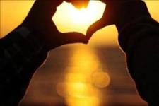 佛本在人间：你不知道的冷知识:爱情其实也是一种化学反应