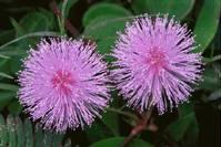 「正义励志小雷」往后余生，只想留一份沉默给自己