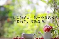 让人心疼到哭的语录，字字伤情，句句碎心