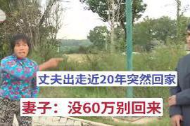 文|众生纪事01丈夫程有余想回家 丈夫离家出走近20年后突然回家，妻子：先给60万，不然别进家