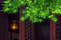 这10件事，会严重消耗我们的福报，不要再做了！