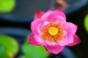 因果 凡事因果注定，一切皆是最好的安排