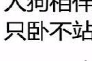 6个猜字谜，大家来试一试，测测你的文字功底