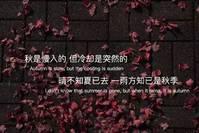 被神明贩卖的温柔句子