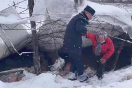 平安辽阳 今天下雪了！下雪了！这两天 大雪无情人有情 雪中救助显真情