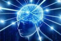 每个人的人生都是一座宝藏，只要你肯挖掘，终能获益颇丰