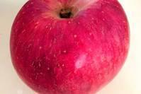 灵签占卜：你觉得哪一个苹果最甜，测你的生活中最缺的是什么？