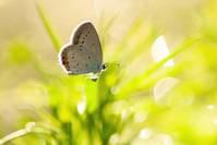 愿有一人，懂你背后的苦