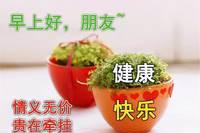 早年吉祥：风再大让我们相依一起，这个冬天，我们不会孤单，早安