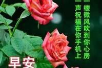 11月18日冬季励志正能量早上好经典问候语，很潮的问候动漫表情