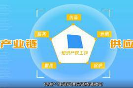 深圳知识产权路在何方？今年9月 秒懂知识产权丨聚焦知识产权强国建设 深圳装“新引擎”展