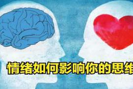 当你面临一个重大决定时 要练就顶级的智慧，先学会掌控自己的情绪！这种思考模式教会你