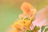 感恩节，对自己说一声“谢谢”！