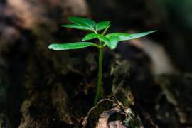 有没有一些时刻 人到中年会有什么醒悟？这些时刻你大概都有过