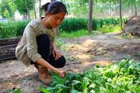 她是清华美女博士，12年前放弃城市百万年薪回乡种地，现在怎样？