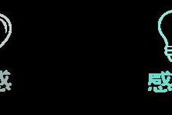 中国网12月08日21:35原标题：夜读 | 遇见美好 夜读 | 遇见美好，从运动和读书开始