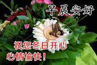 8张群发清晨早上好问候祝福语动态鲜花图片